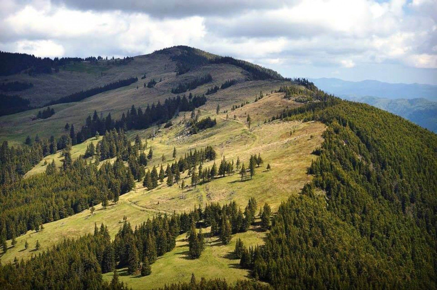 Trasee Montane — Munții Nemira — Slănic Moldova