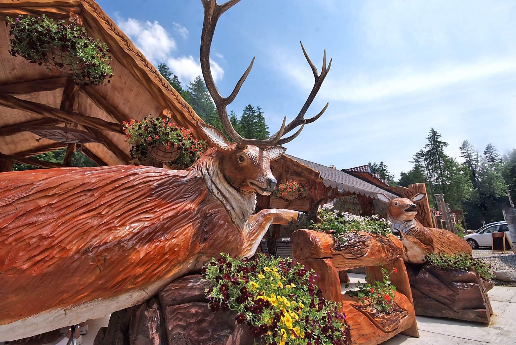 Galerie Restaurant Cascada Slănic Moldova - imagine 6